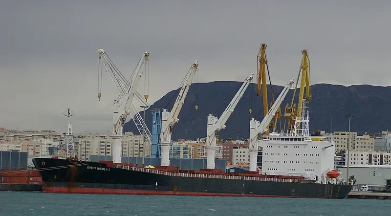 S NIKOLA Bulk Carrier IMO 9102966 photo 10