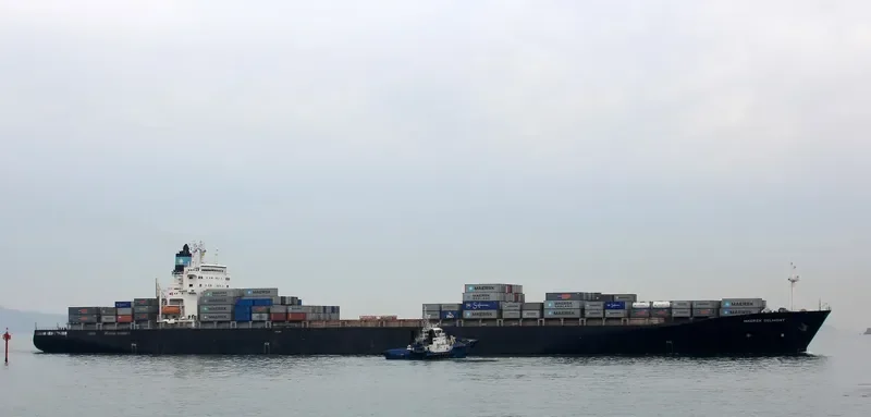 SEZZE Container Ship IMO 9103037 photo 4