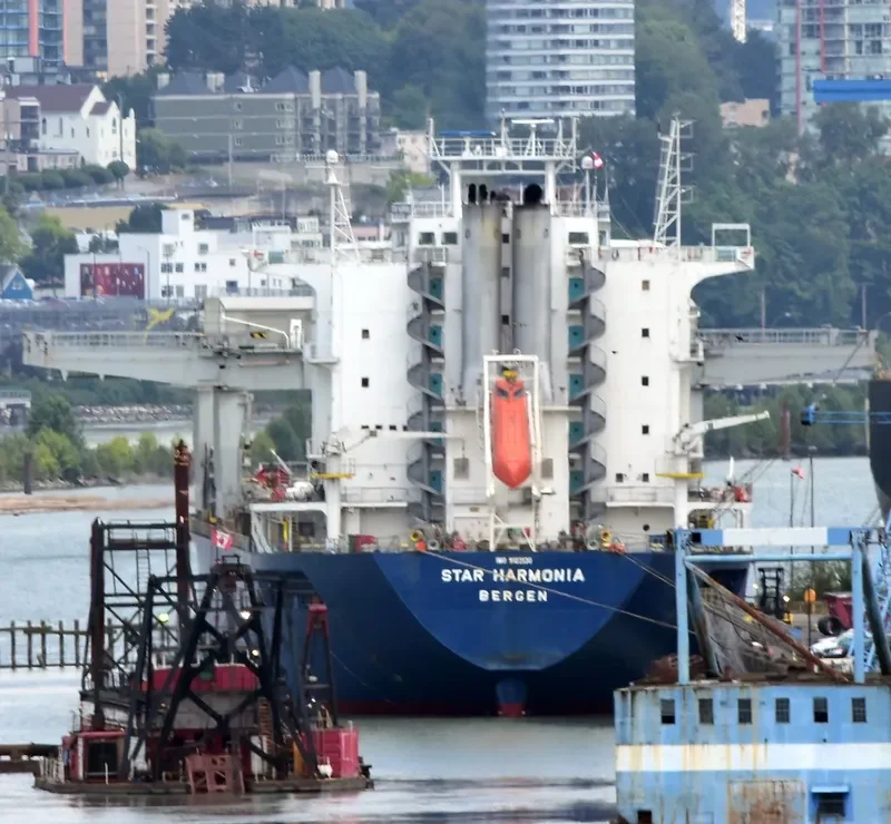 STAR HARMONIA General Cargo IMO 9103130 photo 2