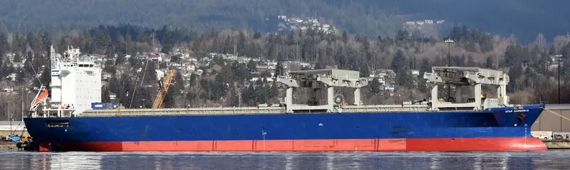STAR HARMONIA General Cargo IMO 9103130 photo 6
