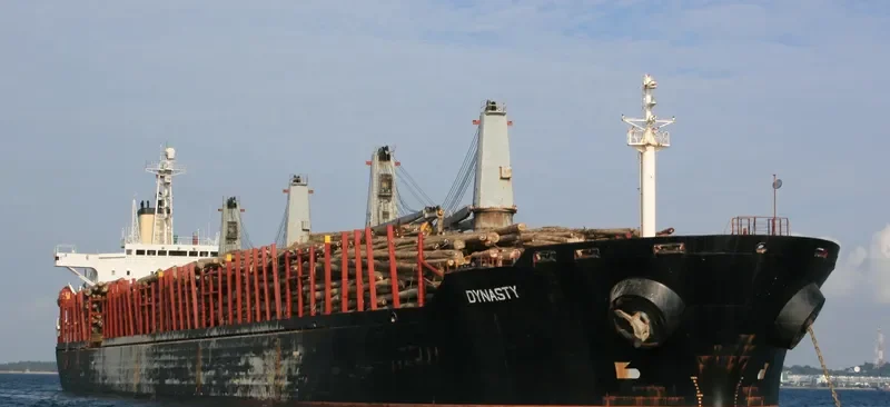 DYNASTY Bulk Carrier IMO 9103142