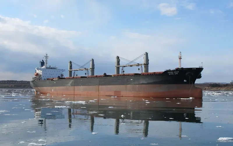 DYNASTY Bulk Carrier IMO 9103142 photo 2