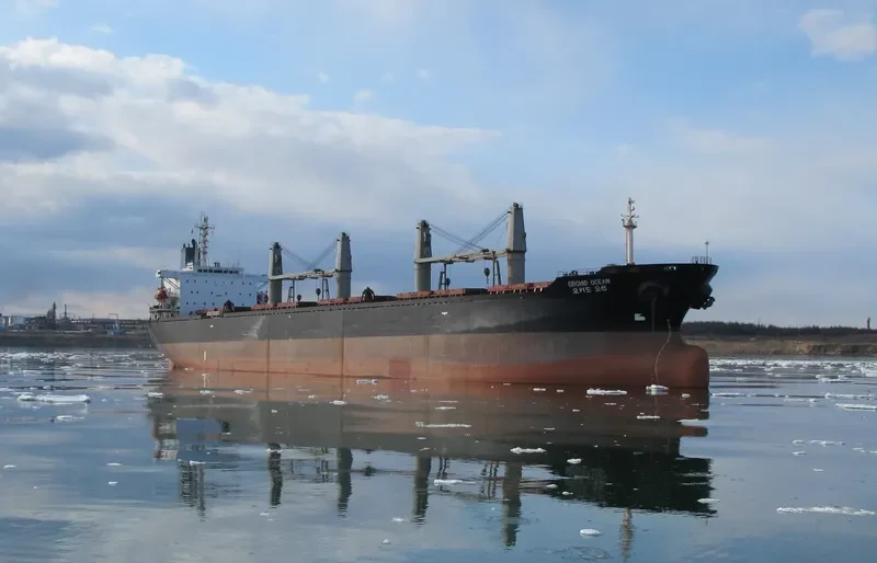 DYNASTY Bulk Carrier IMO 9103142 photo 3