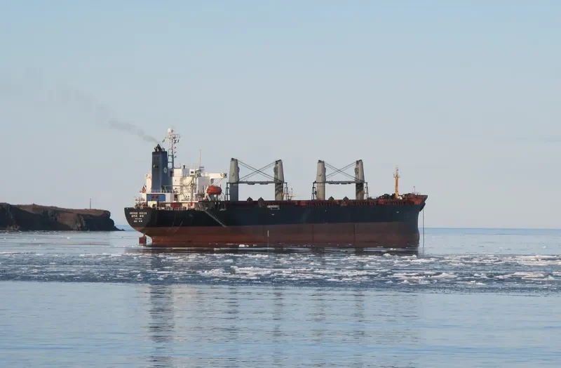 DYNASTY Bulk Carrier IMO 9103142 photo 4
