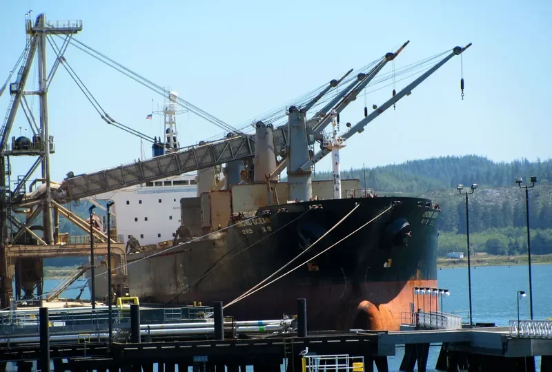 DYNASTY Bulk Carrier IMO 9103142 photo 6