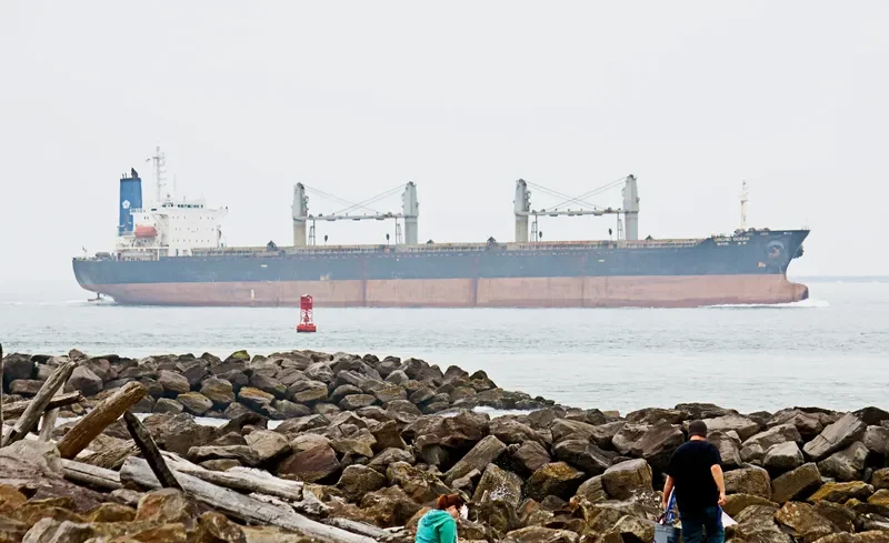 DYNASTY Bulk Carrier IMO 9103142 photo 8