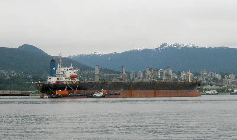 DYNASTY Bulk Carrier IMO 9103142 photo 10