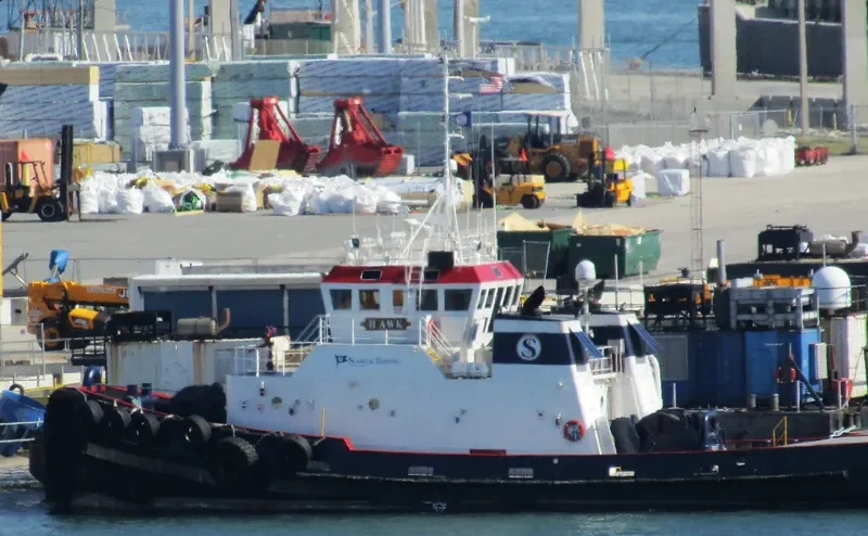 HAWK General Cargo IMO 9103295 photo 9