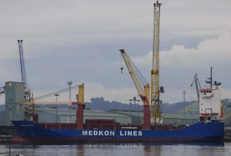 MEDKON SINOP Container Ship IMO 9103362 photo 3