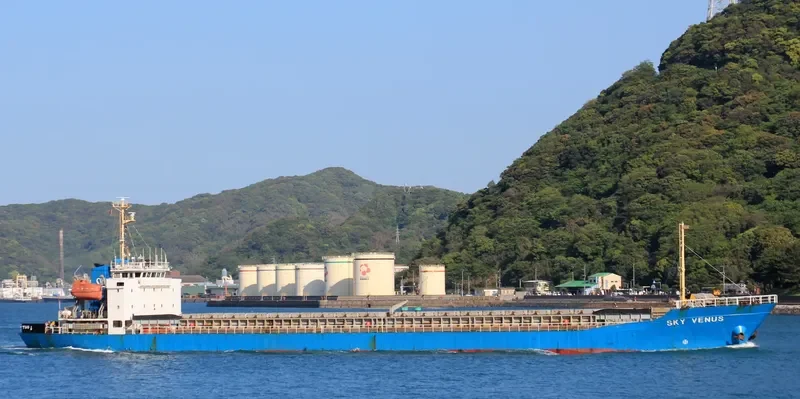 SKY VENUS General Cargo IMO 9103489 photo 6