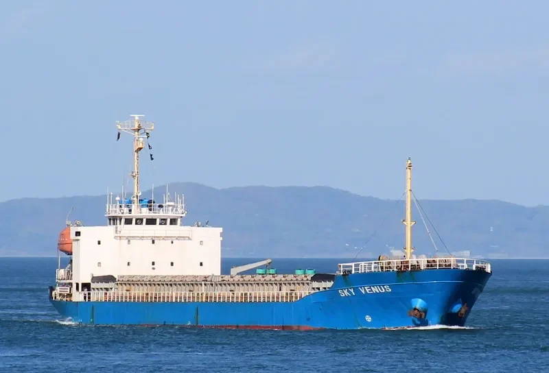 SKY VENUS General Cargo IMO 9103489 photo 9