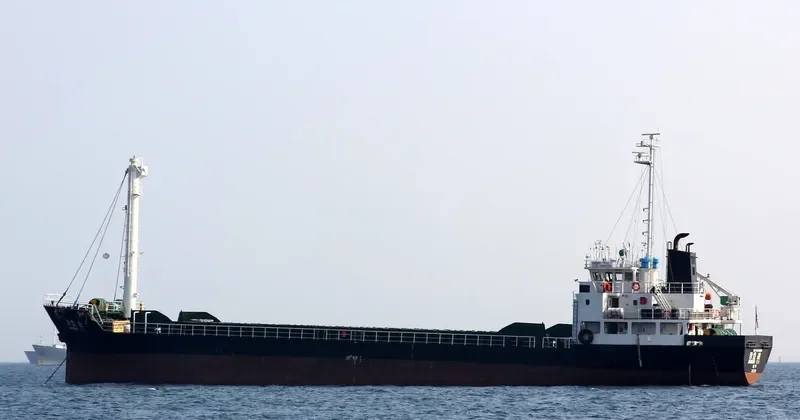 JANGHO WIN General Cargo IMO 9103623 photo 2