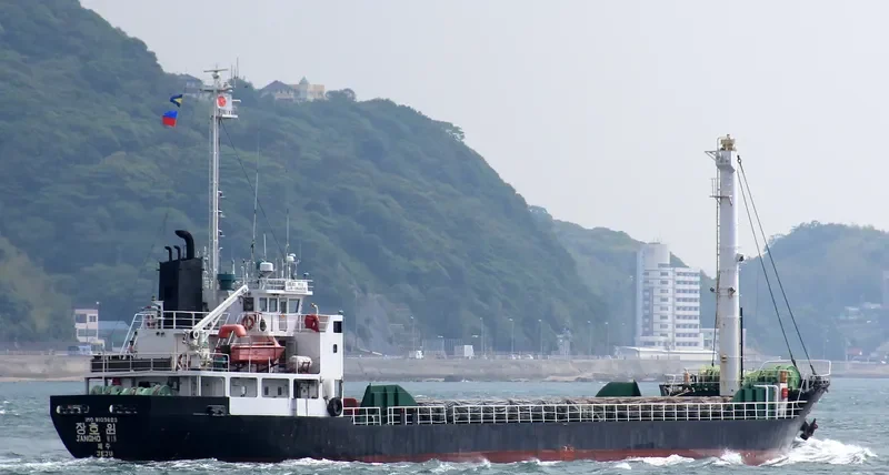 JANGHO WIN General Cargo IMO 9103623 photo 3