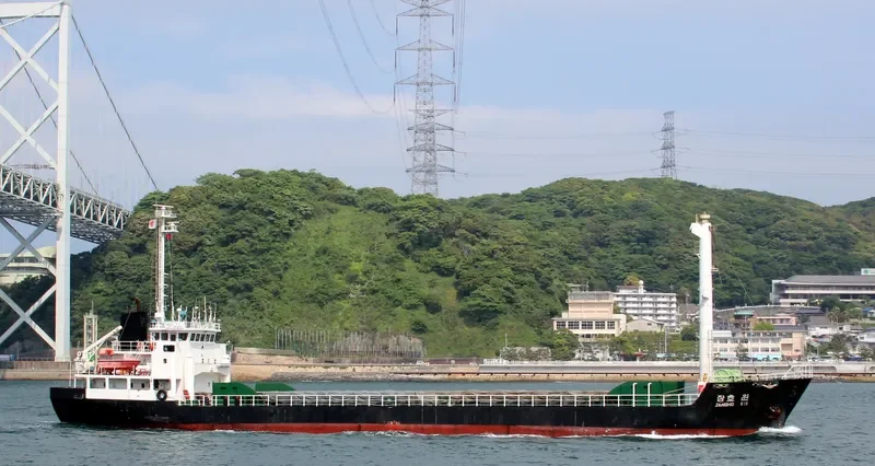 JANGHO WIN General Cargo IMO 9103623 photo 4