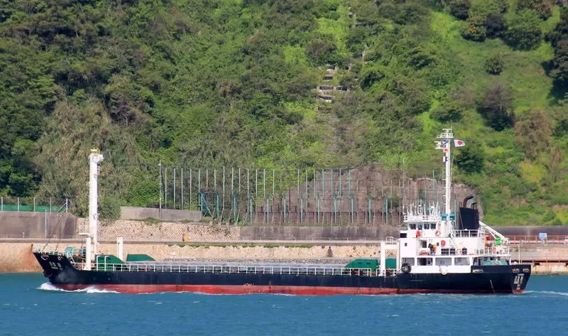 JANGHO WIN General Cargo IMO 9103623 photo 9