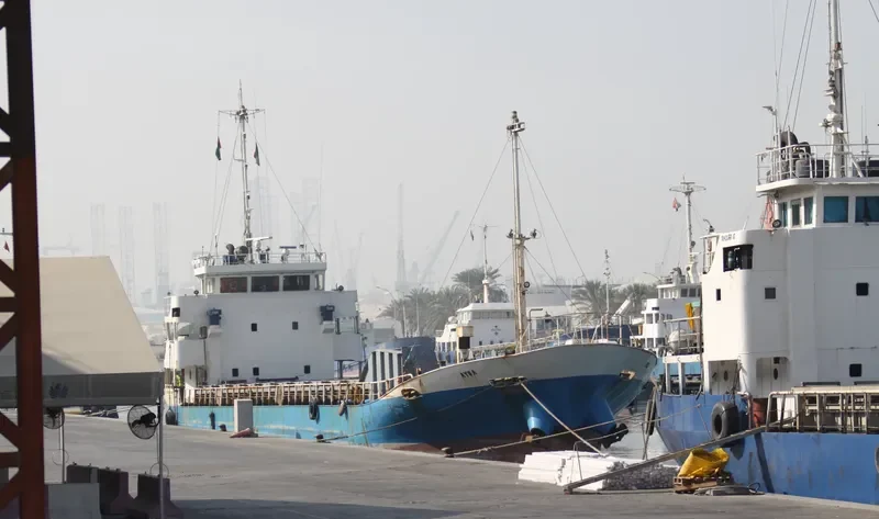 AYSA General Cargo IMO 9103659