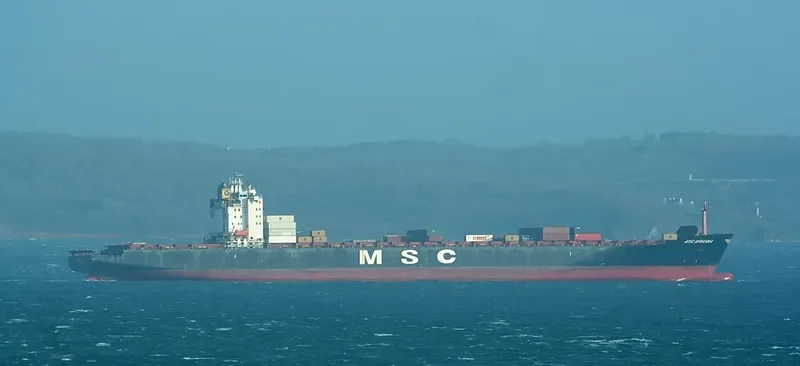 MSC BRIANNA Container Ship IMO 9103685