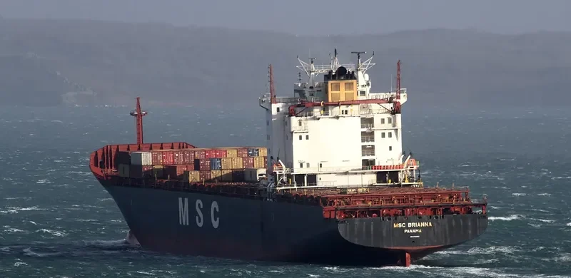 MSC BRIANNA Container Ship IMO 9103685 photo 2