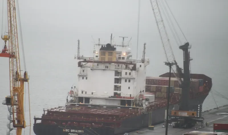 MSC BRIANNA Container Ship IMO 9103685 photo 4
