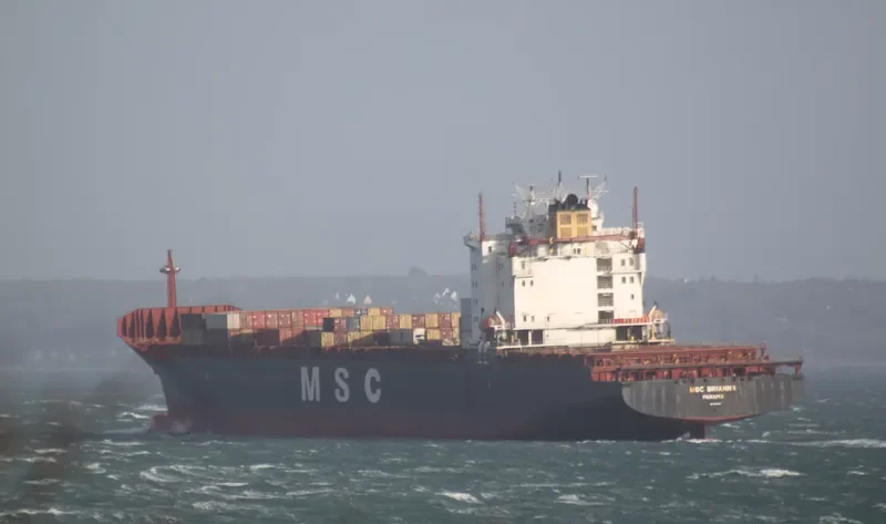 MSC BRIANNA Container Ship IMO 9103685 photo 9