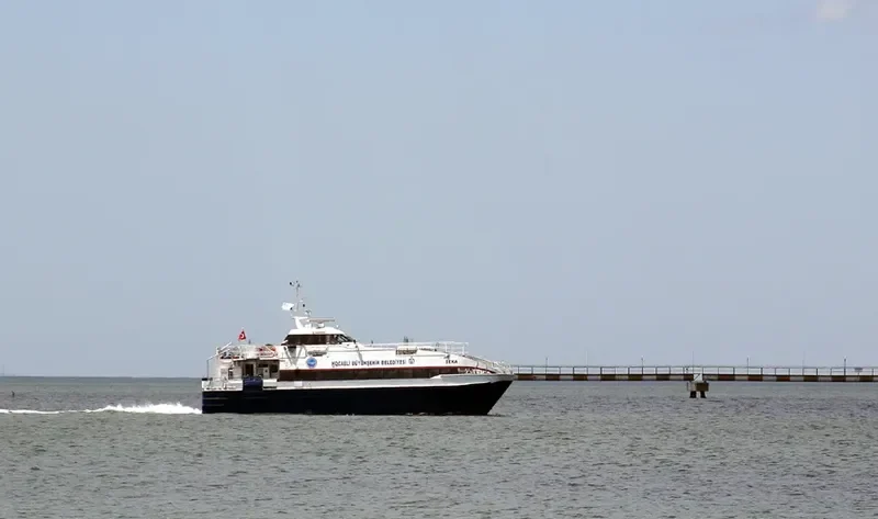 SEA STAR RHODES Passenger Ship IMO 9103764 photo 2
