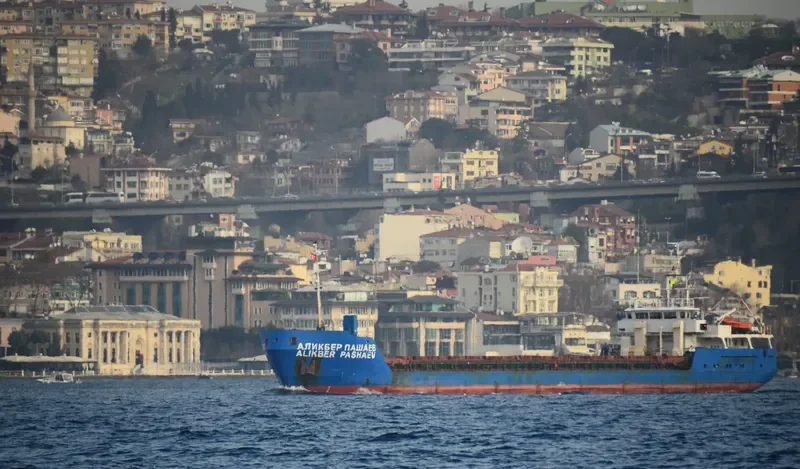BORIS KUSTODIEV General Cargo IMO 9103817 photo 5