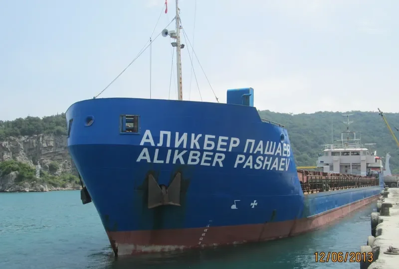 BORIS KUSTODIEV General Cargo IMO 9103817 photo 6