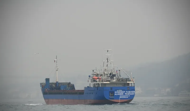 BORIS KUSTODIEV General Cargo IMO 9103817 photo 8
