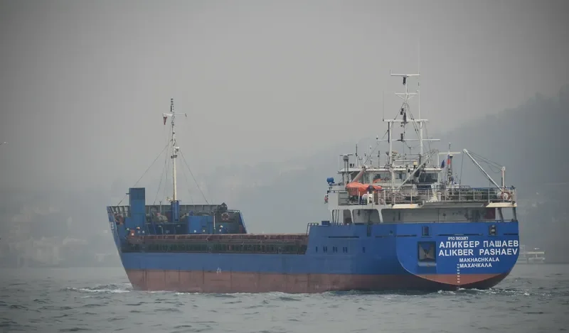 BORIS KUSTODIEV General Cargo IMO 9103817 photo 9
