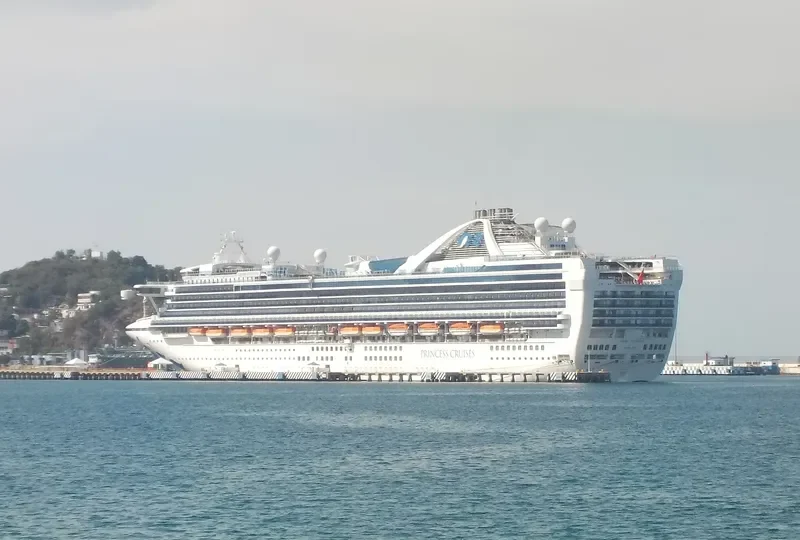 GRAND PRINCESS Passenger Ship IMO 9104005 photo 6