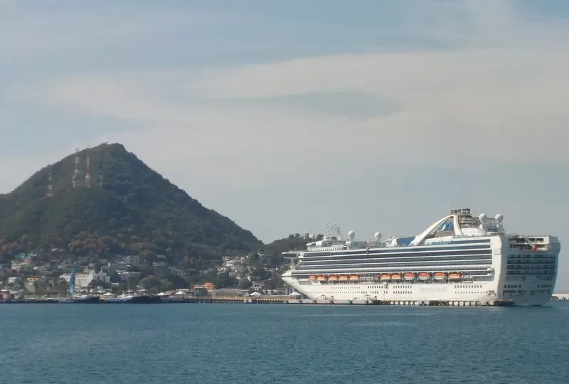 GRAND PRINCESS Passenger Ship IMO 9104005 photo 7
