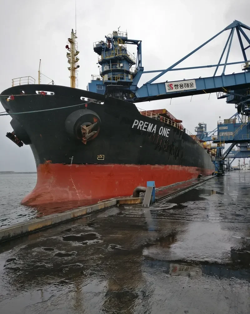 PREMA ONE Bulk Carrier IMO 9104108 photo 2