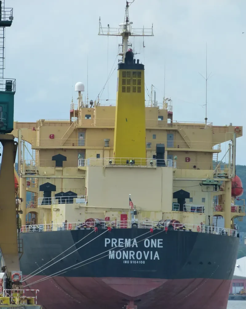 PREMA ONE Bulk Carrier IMO 9104108 photo 3