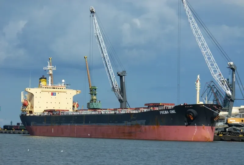 PREMA ONE Bulk Carrier IMO 9104108 photo 4