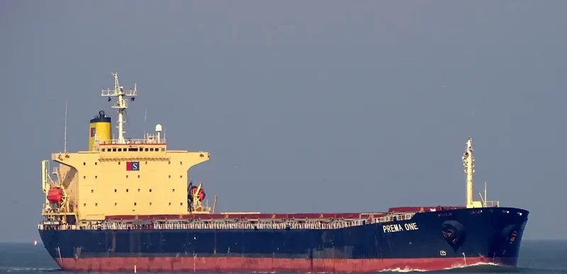 PREMA ONE Bulk Carrier IMO 9104108 photo 5