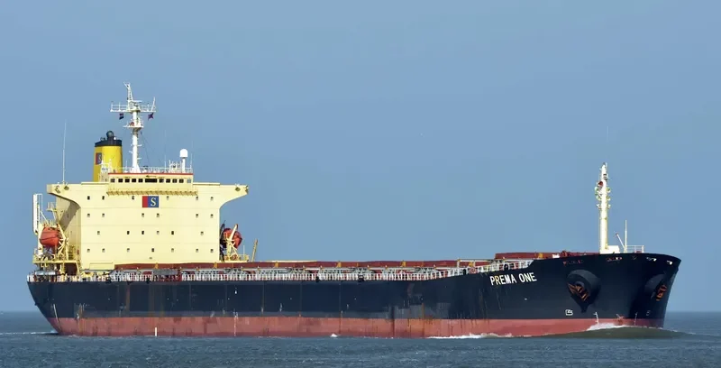 PREMA ONE Bulk Carrier IMO 9104108 photo 7