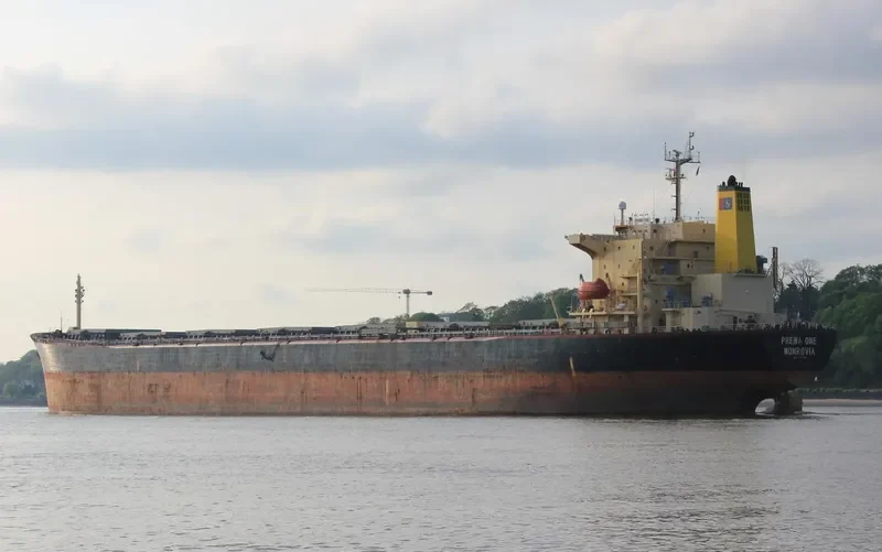 PREMA ONE Bulk Carrier IMO 9104108 photo 8