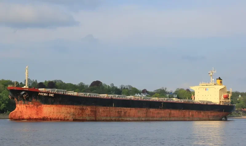 PREMA ONE Bulk Carrier IMO 9104108 photo 9