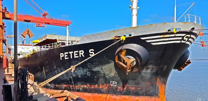 PETER S Bulk Carrier IMO 9104110