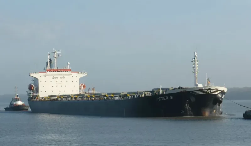 PETER S Bulk Carrier IMO 9104110 photo 2