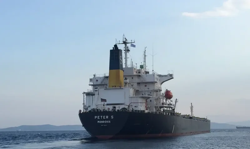 PETER S Bulk Carrier IMO 9104110 photo 4