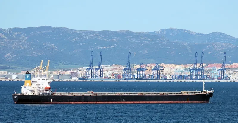 PETER S Bulk Carrier IMO 9104110 photo 9