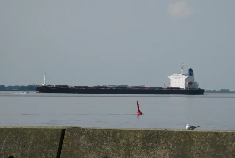 PETER S Bulk Carrier IMO 9104110 photo 10