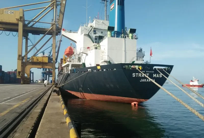 STRAIT MAS Container Ship IMO 9104134