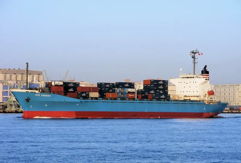 STRAIT MAS Container Ship IMO 9104134 photo 3