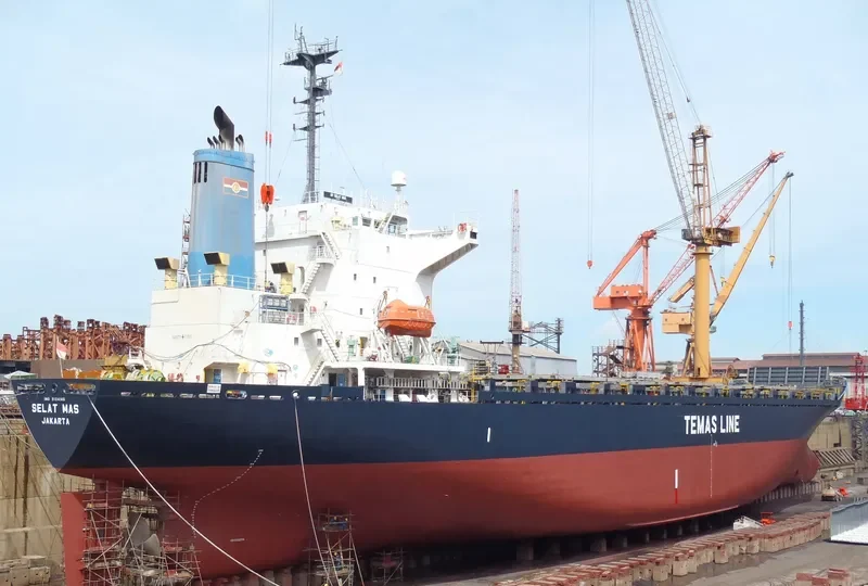 SELAT MAS Container Ship IMO 9104146 photo 3