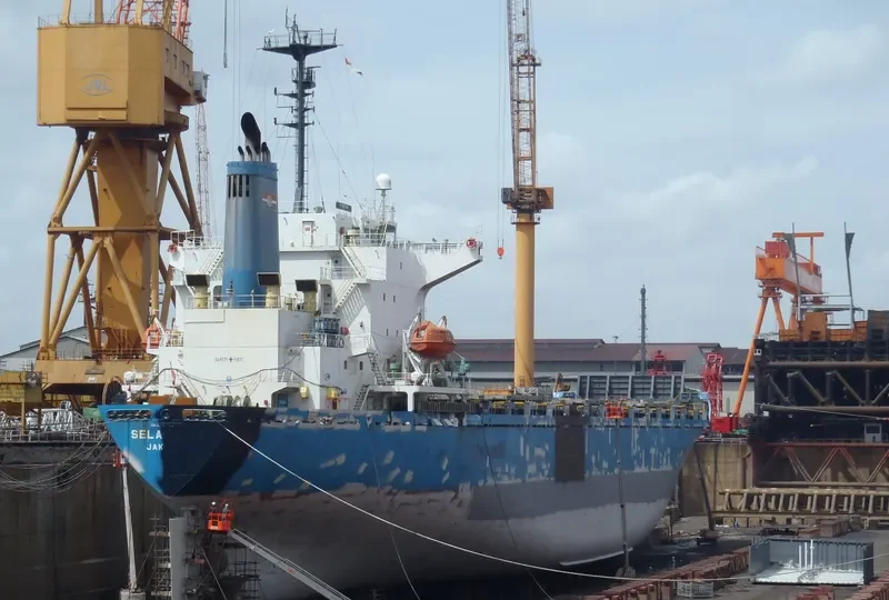 SELAT MAS Container Ship IMO 9104146 photo 6