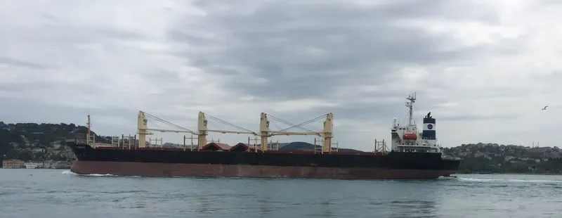 MARAKI K Bulk Carrier IMO 9104158 photo 6