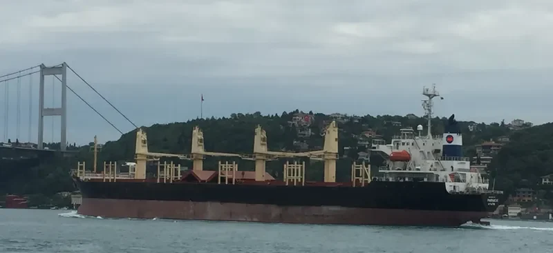 MARAKI K Bulk Carrier IMO 9104158 photo 7