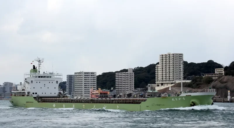 NAGATO MARU Bulk Carrier IMO 9104184 photo 9